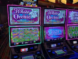 Antarmuka aplikasi jitutoto777 menampilkan studio live-dealer dan permainan slot pada perangkat mobile